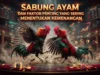 Sabung Ayam dan Faktor Penting yang Sering Menentukan Kemenangan Sabung Ayam